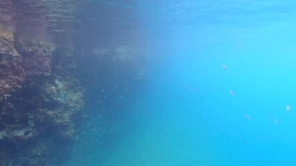 Snorkeling at Oludeniz, Turkey - group of small fish visible in turquoise blue water, rocky shore at distance