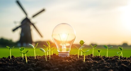 Sustainable energy concept lightbulb with sprouts and windmill at sunset
