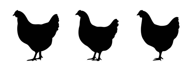 Black chicken silhouette vector art farm animal poultry fowl design graphic illustration hen rooster