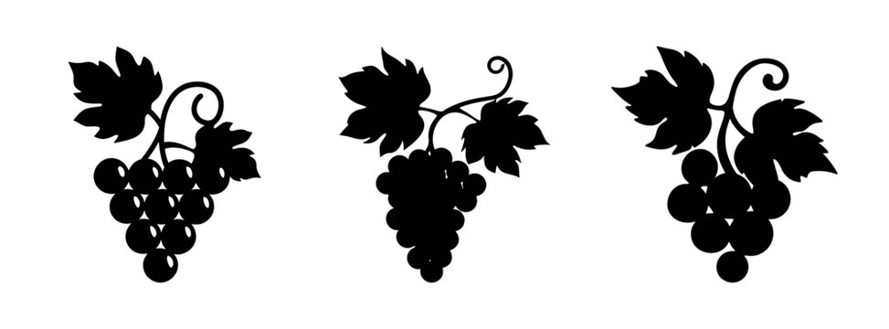 Black silhouette grapes vector illustration bunches of grapes with leaves wine grapes drawing
