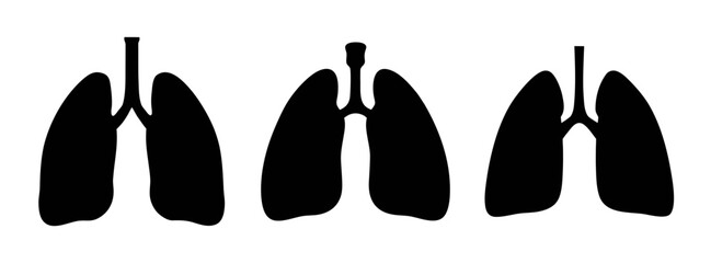 Lung health anatomy respiratory system illustration black and white medical design graphic lungs human body