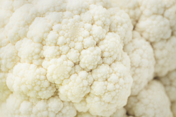 background of white cauliflower inflorescences close-up