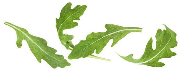 flying arugula leaves on white isolated background