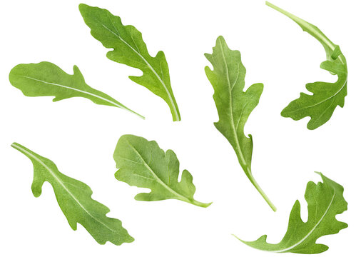 collection of flying arugula leaves on white isolated background