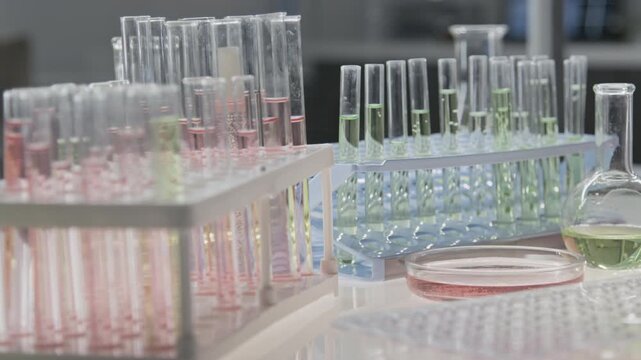 Close-up no people shot of pink and green liquids in test tube racks, Petri dishes and microplate on table in laboratory