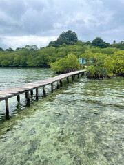 Fototapeta premium Wooden pier stretching over clear Caribbean water toward lush tropical mangroves in Bocas del Toro, Panama. Cloudy sky