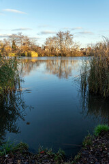 Calm waters reflect autumn scenery near a serene lake in the late afternoon sun