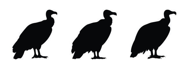 Vulture silhouette vector graphic: scavenger bird illustration, wildlife animal icon, black bird art, avian design element