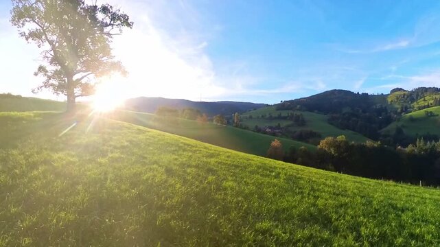 Idyllische Mittelgebirgslandschaft mit majest&auml;tischem gro&szlig;en Baum und sanften H&uuml;geln im Sonnenaufgang, perfekte Kulisse f&uuml;r beruhigende Momente, Freizeitaktivit&auml;ten und Naturprojekte, Schwarzwald