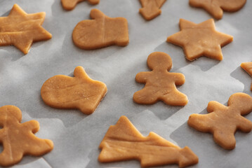 Unbaked Christmas Cookie Dough on Baking Tray
