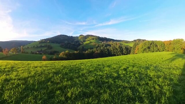 Idyllische Mittelgebirgslandschaft mit majest&auml;tischem gro&szlig;en Baum und sanften H&uuml;geln im Sonnenaufgang, perfekte Kulisse f&uuml;r beruhigende Momente, Freizeitaktivit&auml;ten und Naturprojekte, Schwarzwald