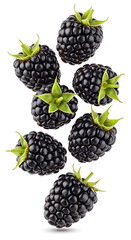 Fresh, Ripe Blackberries Falling Against a White Background A Visual Delight