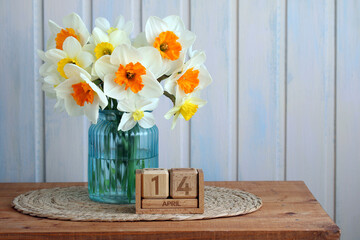 Daffodils blooming in vase with april 14 calendar