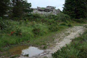 Landscape in monts d'Arr&eacute;e - Finist&egrave;re - Bretagne - France
