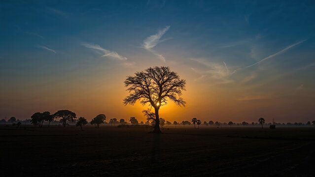 A tree during sunset with a colorful sky and horizon silhouette.