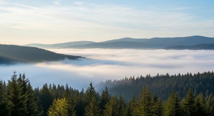 Obraz premium Breathtaking mountain panorama with fog-filled valley and majestic evergreens