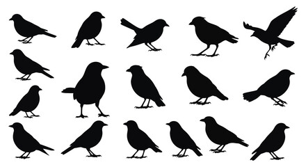 Silhouetted Birds A Diverse Collection of Avian Outlines in Flight and Rest