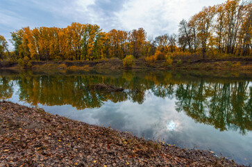 beautiful autumn landscape with river and forest, yellow leaves on trees, cloudy weather