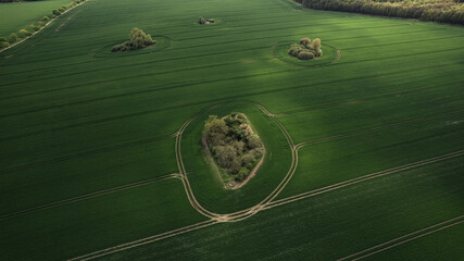 aerial view, drone shot, field, green field, agriculture, farmland, countryside, spring, rural, landscape, trees, island of trees, natural island, crop field, farmland structure, tractor tracks, crop 