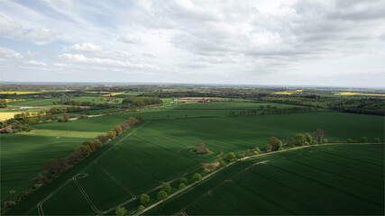 aerial view, drone shot, green fields, farmland, agriculture, countryside, spring landscape, rural area, crop fields, tractor tracks, geometric patterns, panoramic view, scenic, nature, ecology, tree 