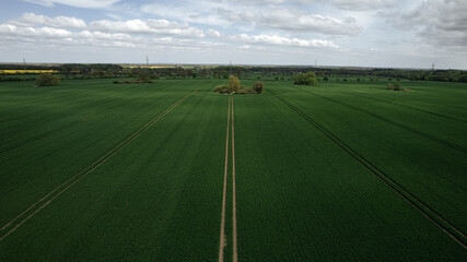 aerial view, forest, top-down, drone shot, green trees, woodland, nature, spring, dense forest, tree canopy, forest pattern, natural texture, foliage, environment, biodiversity, treetops, ecosystem, f