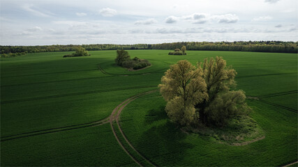 Drone image of an expansive green agricultural field in spring with isolated tree clusters and visible tractor paths. The rural landscape features a clear contrast between the lush vegetation and the 
