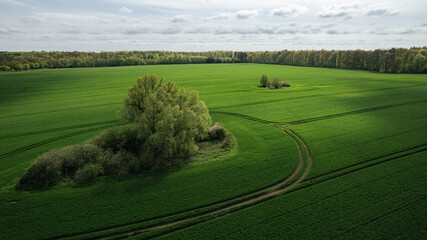 aerial view, drone shot, field, green field, agriculture, farmland, countryside, spring, rural, landscape, trees, island of trees, natural island, crop field, farmland structure, tractor tracks, crop 