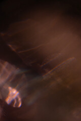 Soft Warm Glow Photo Overlay created from real in-camera effects | Golden Hour