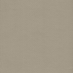 Realistic Watercolor Paper Texture in a neutral earthy tone