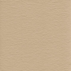 Realistic Watercolor Paper Texture in a neutral earthy tone