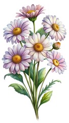 Fototapeta premium Watercolor painting of a bouquet of daisies with soft pastel petals