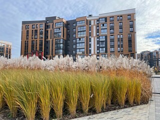Pampas grass in front of modern apartment buildings under a cloudy sky

