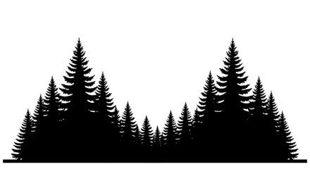Fototapeta premium Silhouette of Evergreen Trees in a Dense Forest Landscape.