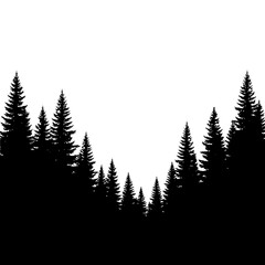 Obraz premium Silhouette of Evergreen Trees in a Forest Landscape.