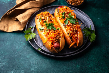 Traditional american street food hot dog