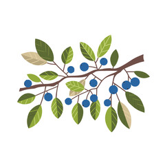 A Branch With Blueberries And Green Leaves On A Black Background Detailed Flat Vector Illustration