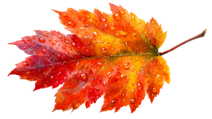 Vibrant watercolor autumn leaf with fresh rain droplets on surface.