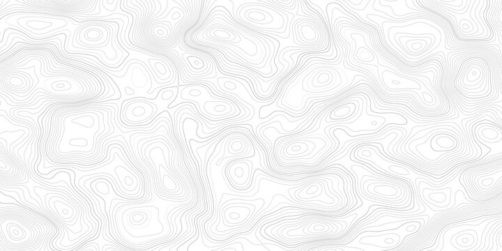 Abstract white background with abstract topographic grey contour lines creating a seamless pattern design
