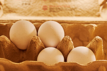 Close-up of several chicken eggs in a paper egg carton
