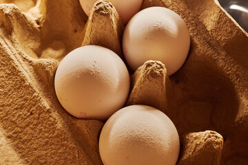 Close-up of several chicken eggs in a paper egg carton
