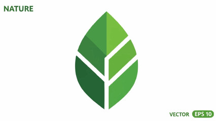 Fototapeta premium Illustration of a stylized green leaf with internal divisions on a white background vector art