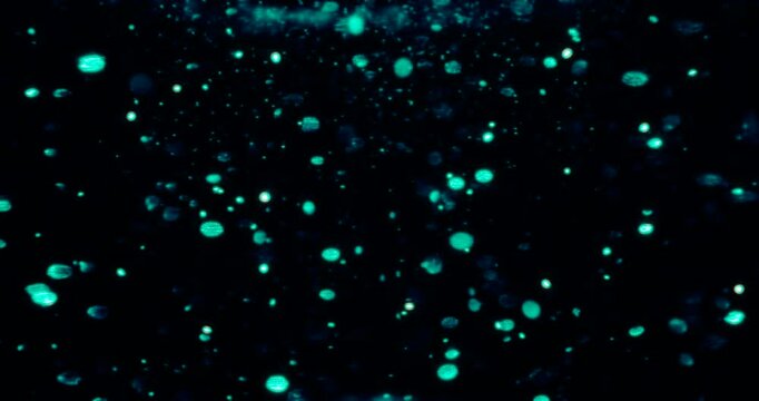 Particles float in water over a dark background, reflecting top light in green and blue hues, creating a glittering, halo-like, cosmic universe effect.
