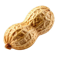 Obraz premium A detailed macro shot of a single unshelled peanut against a pure black background.