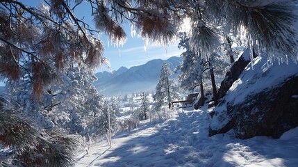 snowy mountains under bright winter sky, frosty forest and peaks in cold morning light