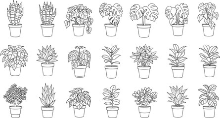 Collection of potted houseplants line art illustration, indoor plant doodle set, botanical black and white drawing for decor and design