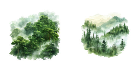 lush green forest in morning mist watercolor vector illustration © Dar