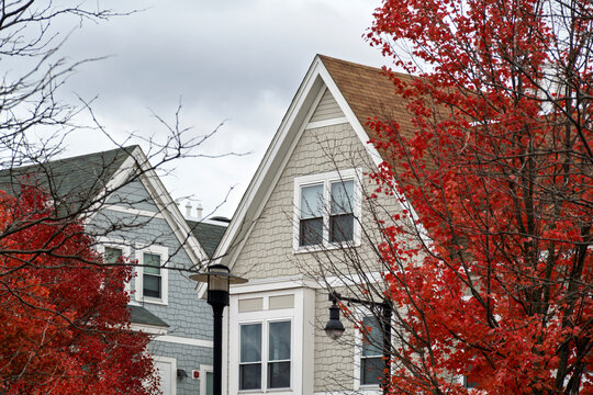 A pair of charming New England style houses framed by vibrant red autumn foliage in the Brighton area of Boston, Massachusetts, USA
