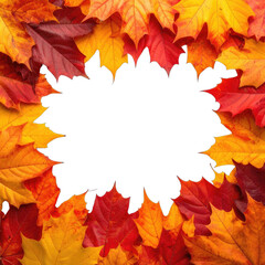 Obraz premium Vibrant autumn maple leaves form a colorful frame around a black center space.