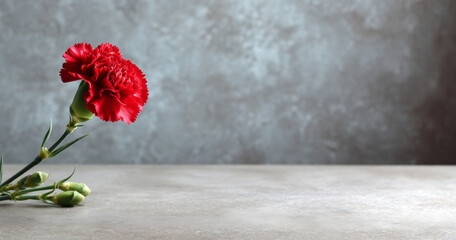 Red carnation standing upright with buds on stone surface expressing mourning