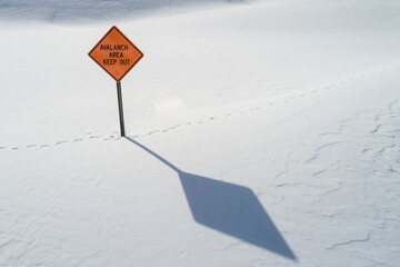 Avalanche Area
